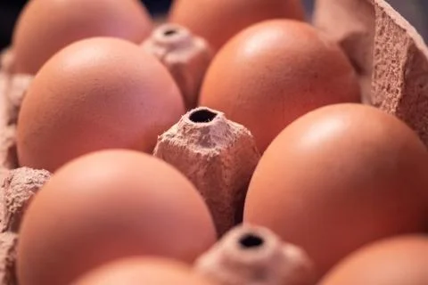 Many brown eggs in the eggbox Foto stock