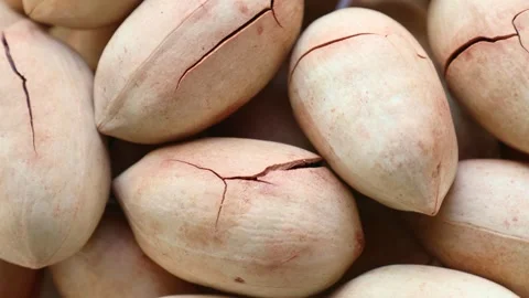 Many brown pecan nuts circle rotation close up top view Stock Footage 264095641