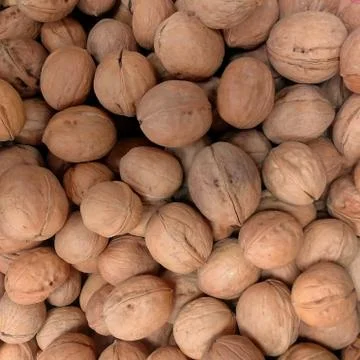 Many brown walnuts Stock Photos