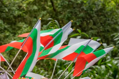 Many Bulgarian flags Stock Photos