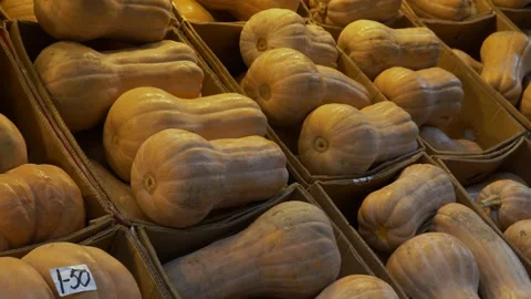 Many butternut squash pumpkins in cardboard boxes on the street market counter Stock-Footage 256355301