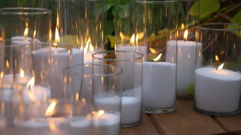 Many candles in the forest Stock Footage 255233147