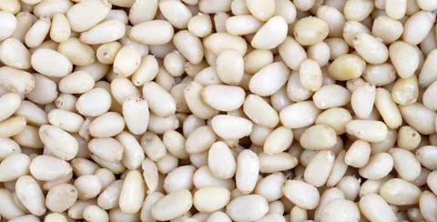 Many cedar nut at day Foto stock