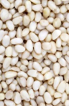 Many cedar nut at day Stock Photos