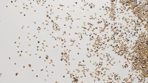 Many cereal seeds fly after it moves dynamically and it was exploded slow motion Video stock 157807545