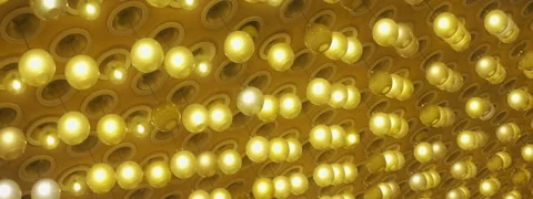 Many chandeliers on ceiling in big hall glowing with warm light, rolling shot Stock Footage 250006673