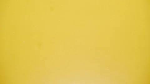 Many cherry are falling into water against yellow background. Stock Footage 93328329