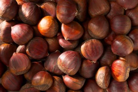 Many Chestnuts, Full Frame Stock Photos