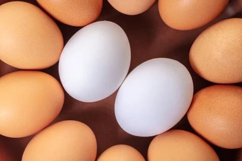 Many chicken eggs closeup Foto stock