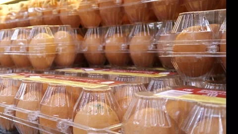 Many chicken eggs in transparent plastic packaging 스톡 동영상 303771285