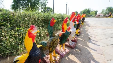 Many chicken statue Stock Photos