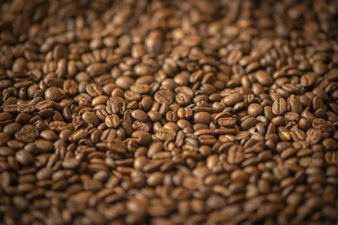 Many coffee beans background. Background with coffee Stock Photos
