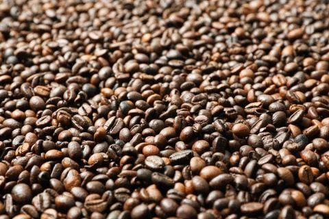 Many coffee beans as background, closeup and space for text Stock Photos