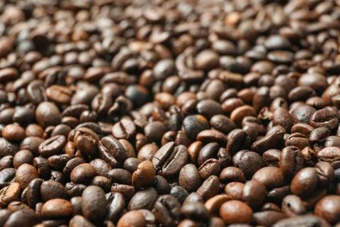 Many coffee beans as background, closeup and space for text Foto stock