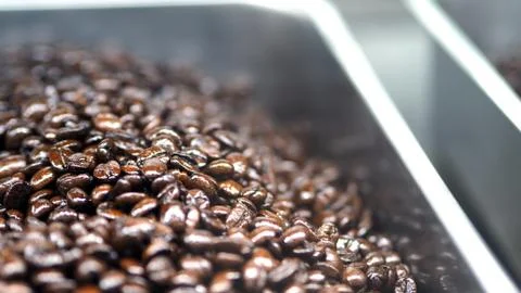 Many coffee beans from excellent source Stock Photos