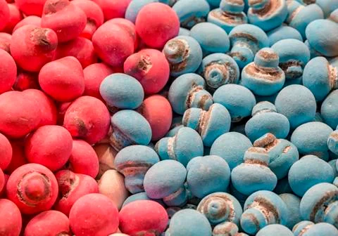 Many colored candies Stock Photos