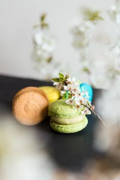 Many colored macaroons on a black background with white apple blossom Stock Photos