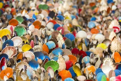 Many of Colorful seashell as background, selective focus Stock Photos
