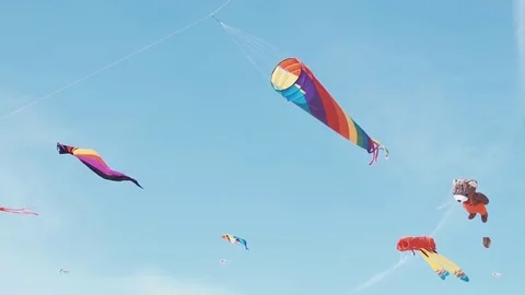 Many colourful kites in flight against blue sky and sunny day Stock Footage 76264341