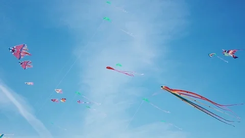 Many colourful kites in flight against blue sky and sunny day Stock Footage 76264644