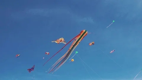 Many colourful kites hovering in blue sky and sunny day. Kite in form of octopus Stock Footage 76265187
