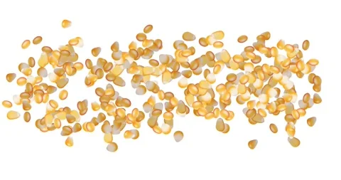 Many corn grains on white background. Yellow sweet corn seeds. Healthy food. Stock Footage 191443290
