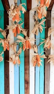 Many corn Stock Photos