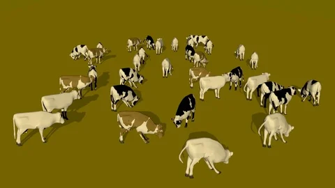 MANY COWS EATING GRASS AXO VIEW Vídeos de archivo 75032283