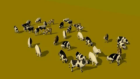 MANY COWS EATING GRASS FRONT RIGHT AXO VIEW Vídeos de archivo 75034053