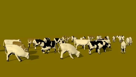 MANY COWS EATING GRASS LEFT AXO VIEW Vídeos de archivo 75035366