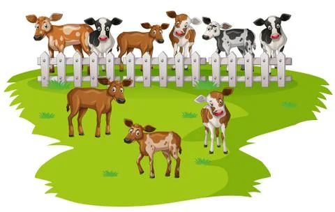 Many cows on the farmyard Stock Illustration