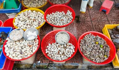 Many crabs stacked in rows Stock Photos