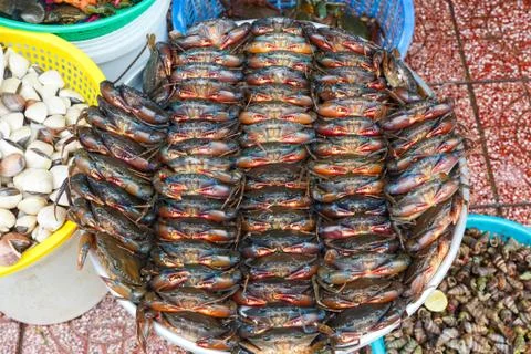 Many crabs stacked in rows Stock Photos