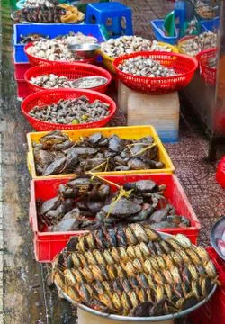 Many crabs stacked in rows Stock Photos