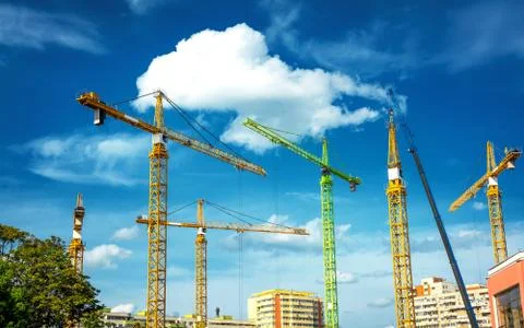 Many Cranes Stock Photos