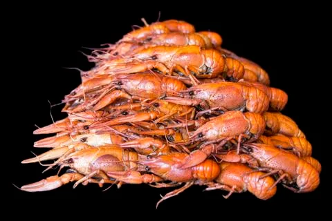 Many crawfishes Stock Photos