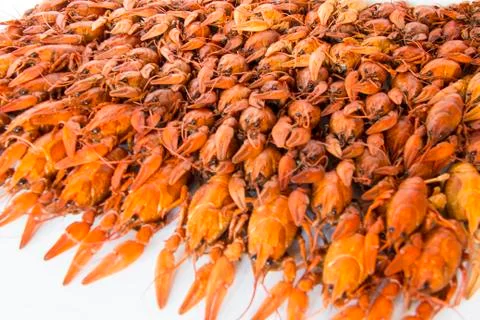 Many crawfishes Stock Photos