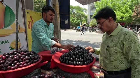 Many customers are buying java plum at java plum shop Stock Footage 277322869