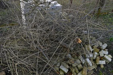 Many cut branches on the background of white bricks Stock Photos