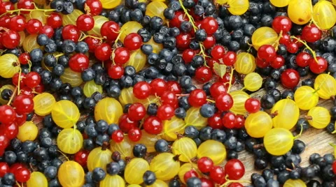 Many different berries Stock Footage 65005982