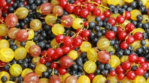 Many different berries Stock Footage 65006555