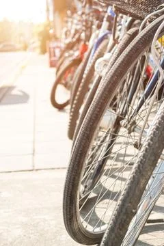 Many different bicycles, Rows of bikes in bicycle shop. Selective focus Stock Photos