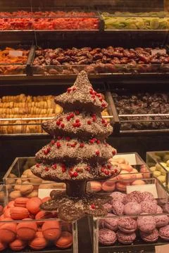 Many different chocolates; chocolate tree close-up Stock Photos