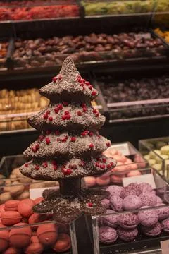 Many different chocolates; chocolate tree close-up Stock Photos