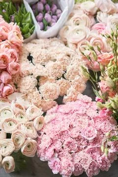 Many different colors. Showcase. Background of mix of flowers. Beautiful flowers Stock Photos