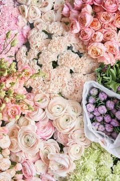 Many different colors. Showcase. Background of mix of flowers. Beautiful flowers Stock Photos