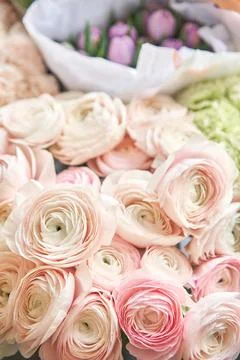 Many different colors. Showcase. Background of mix of flowers. Beautiful flowers Stock Photos