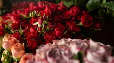 Many different colors on the stand table in the flower shop. Showcase. Backgr Stock Photos