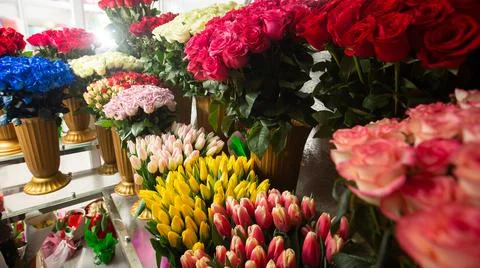 Many different colors on the stand table in the flower shop. Showcase. Backgr Stock Photos