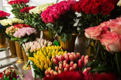 Many different colors on the stand table in the flower shop. Showcase. Backgr Stock Photos